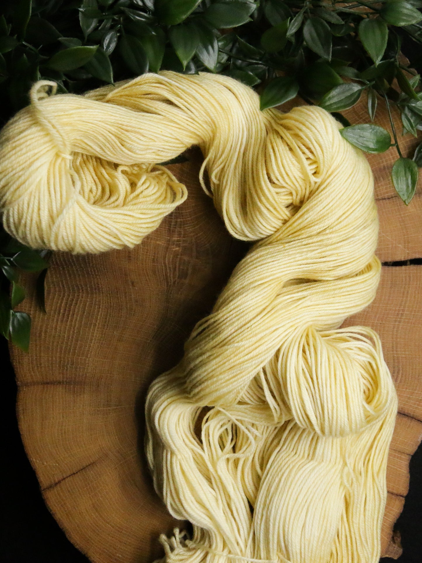 Spring Sunbeam - Merino Squish - Fingering