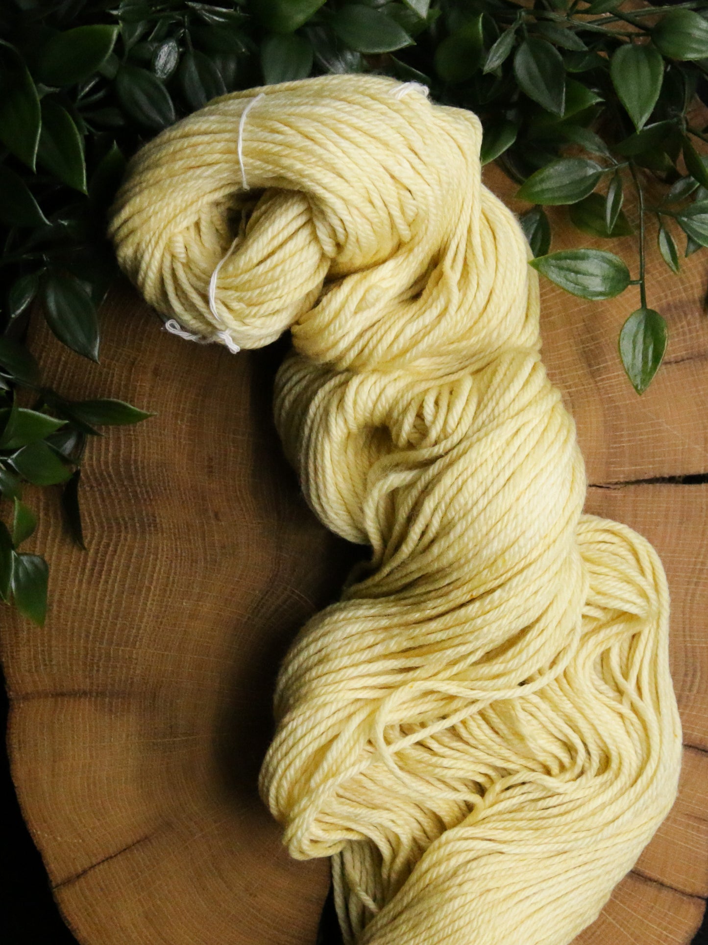 Spring Sunbeam - Merino Squish - DK Weight