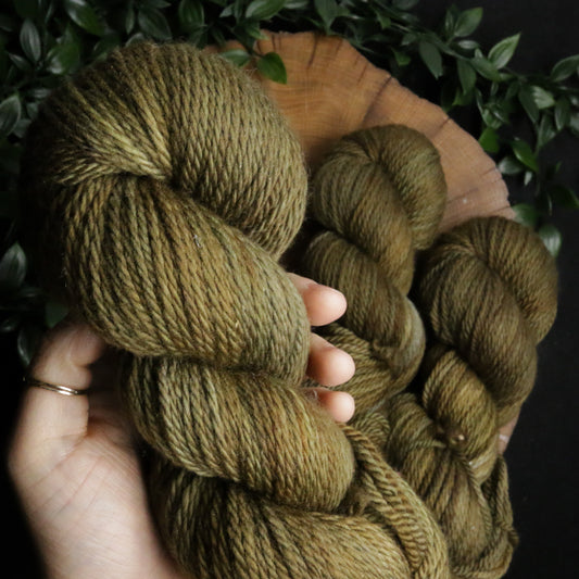Coniferous - Merino Squish - Worsted Weight