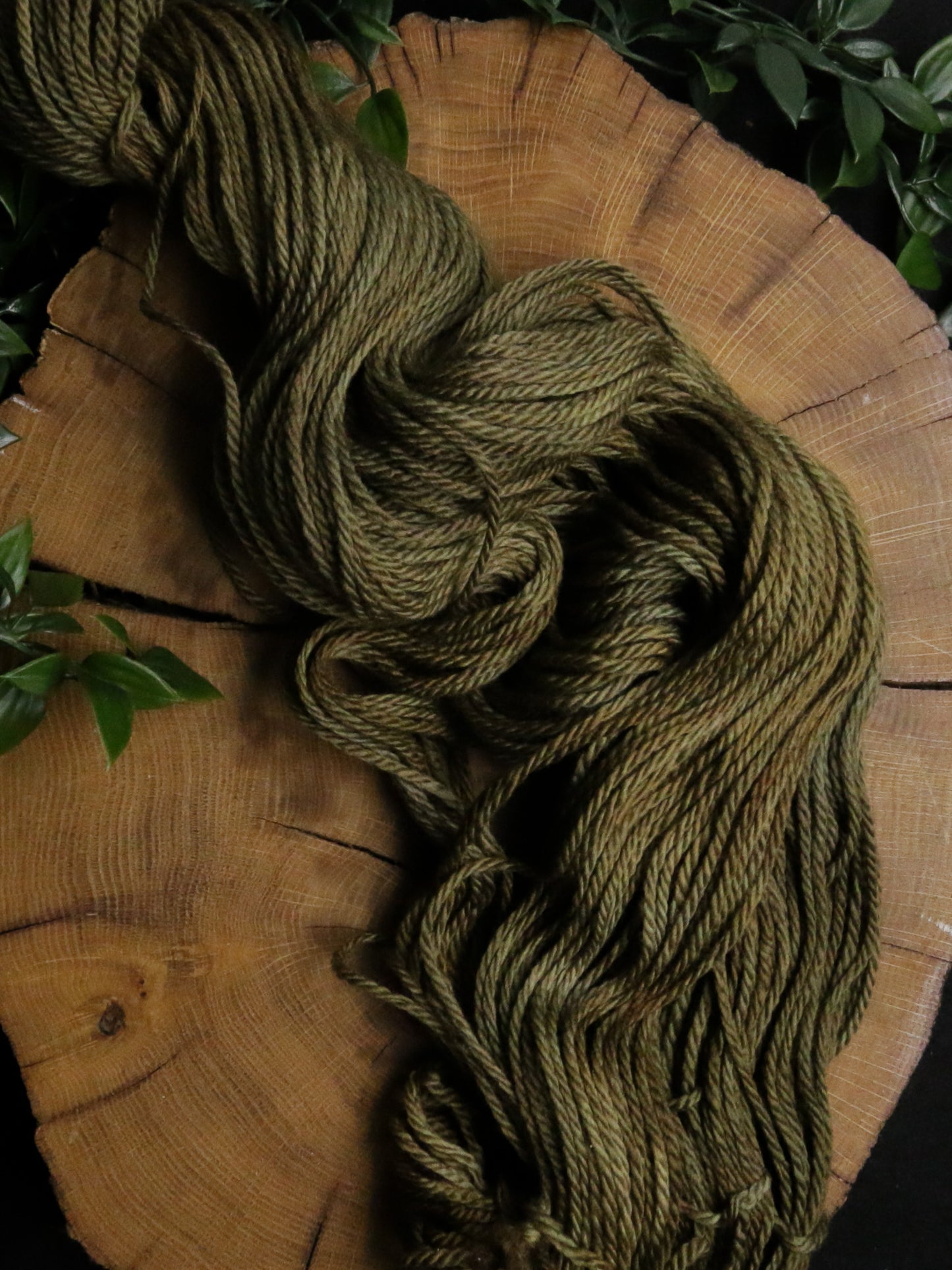 Coniferous - Merino Squish - Worsted Weight