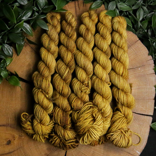 Decaying Leaves - 20g Mini - Soft Sock - Fingering Weight