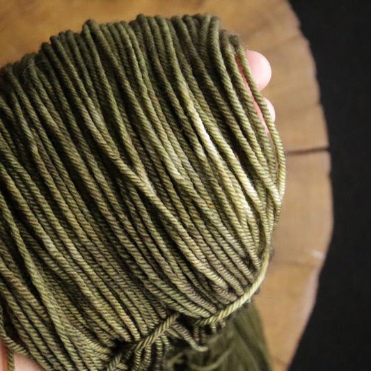 Coniferous *seconds* - Merino Squish - Sport Weight