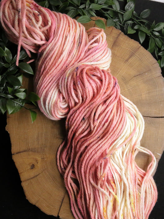 Dye Sink Skein - Merino Squish - Bulky Weight