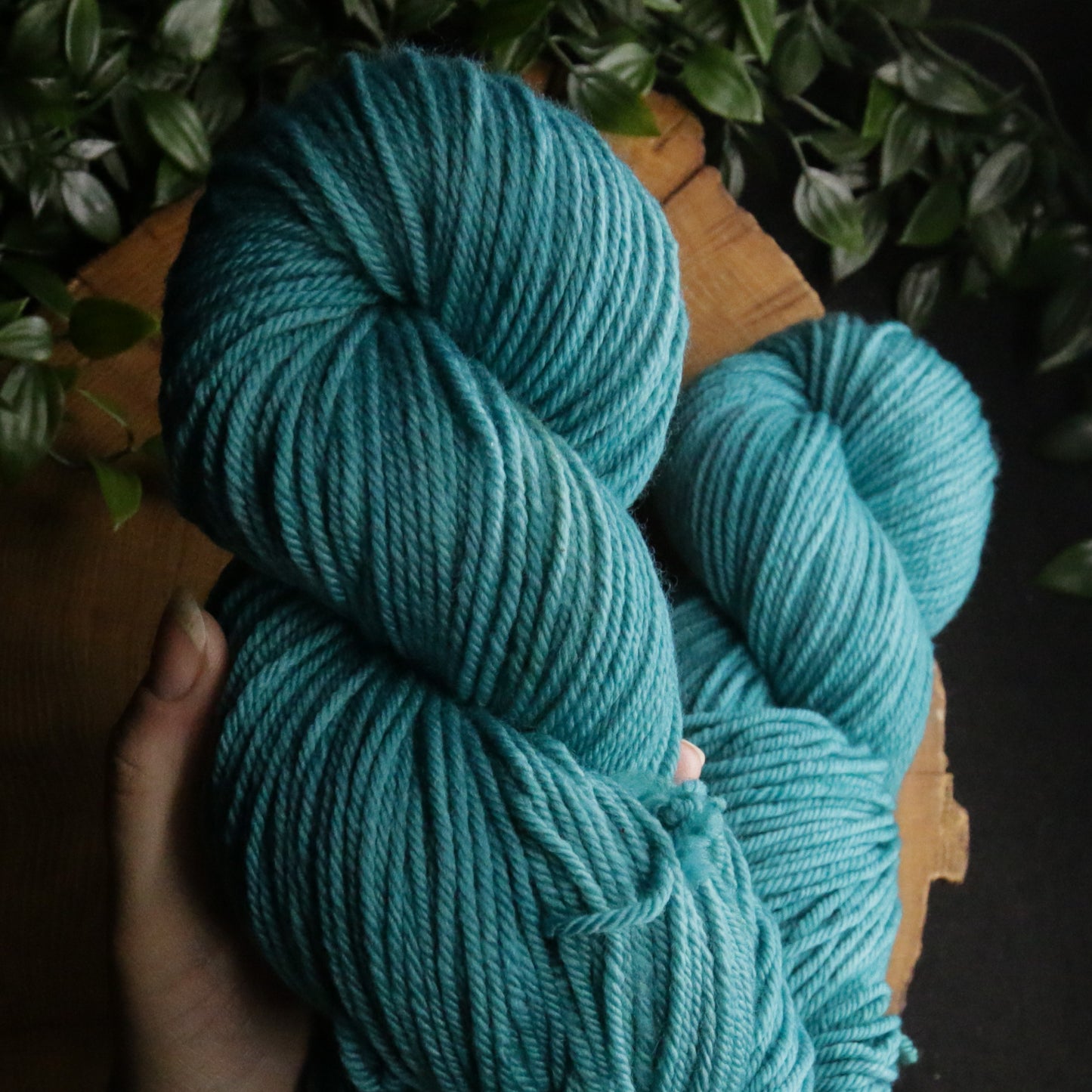 Dye Sink Skein - Plump 85 - DK Weight