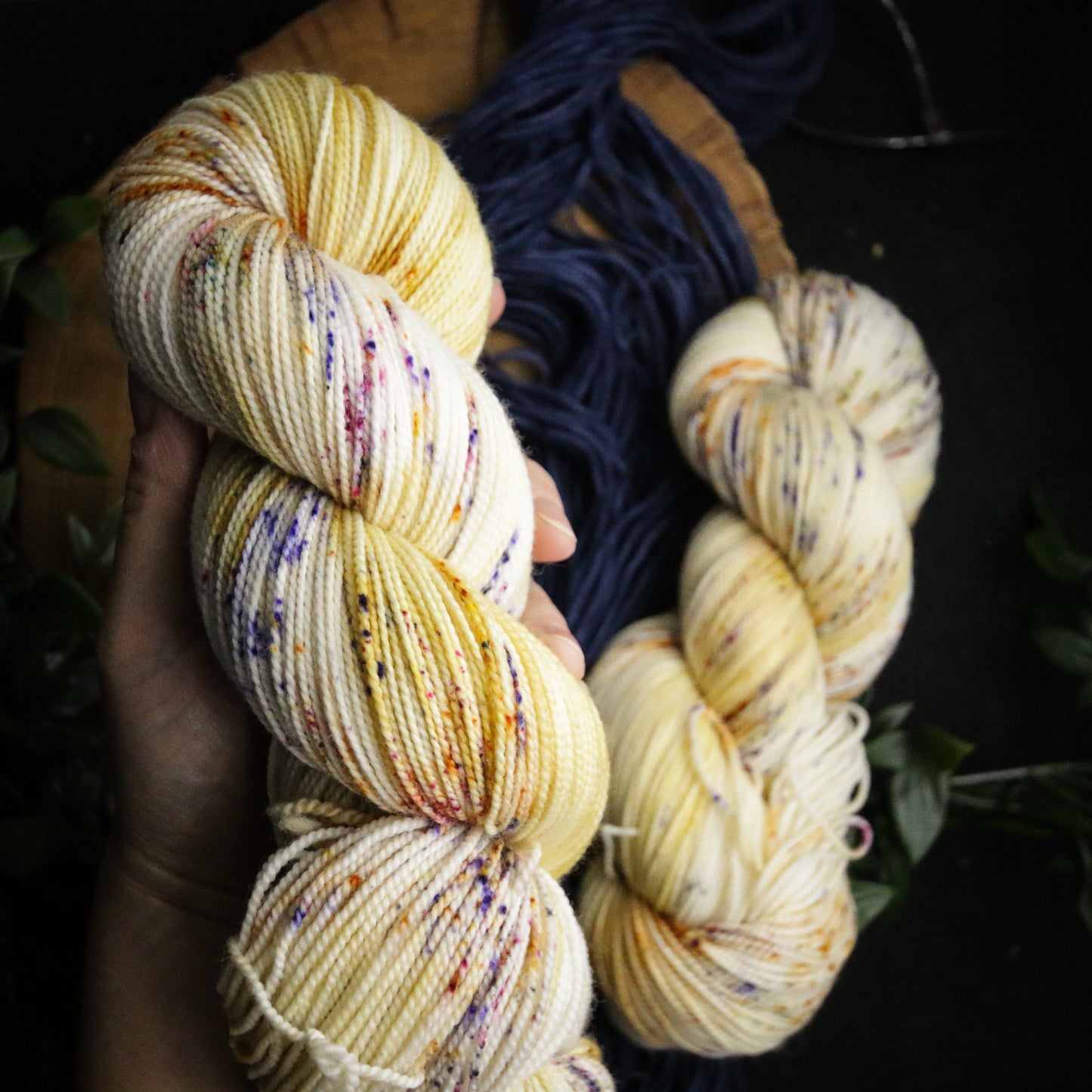 Celebration Sock Set