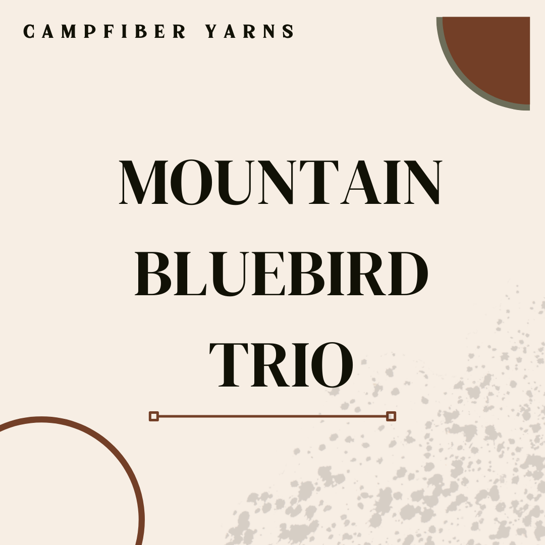 Mountain Bluebird Trio