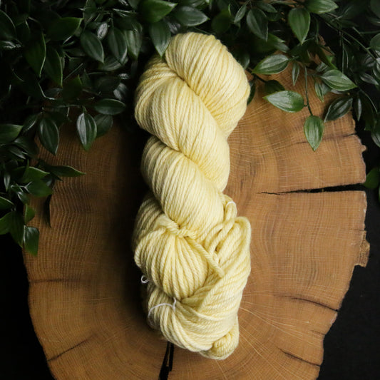 Spring Sunbeam - Merino Squish - DK Weight