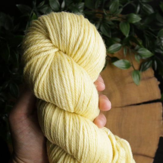 Spring Sunbeam - Merino Squish - DK Weight