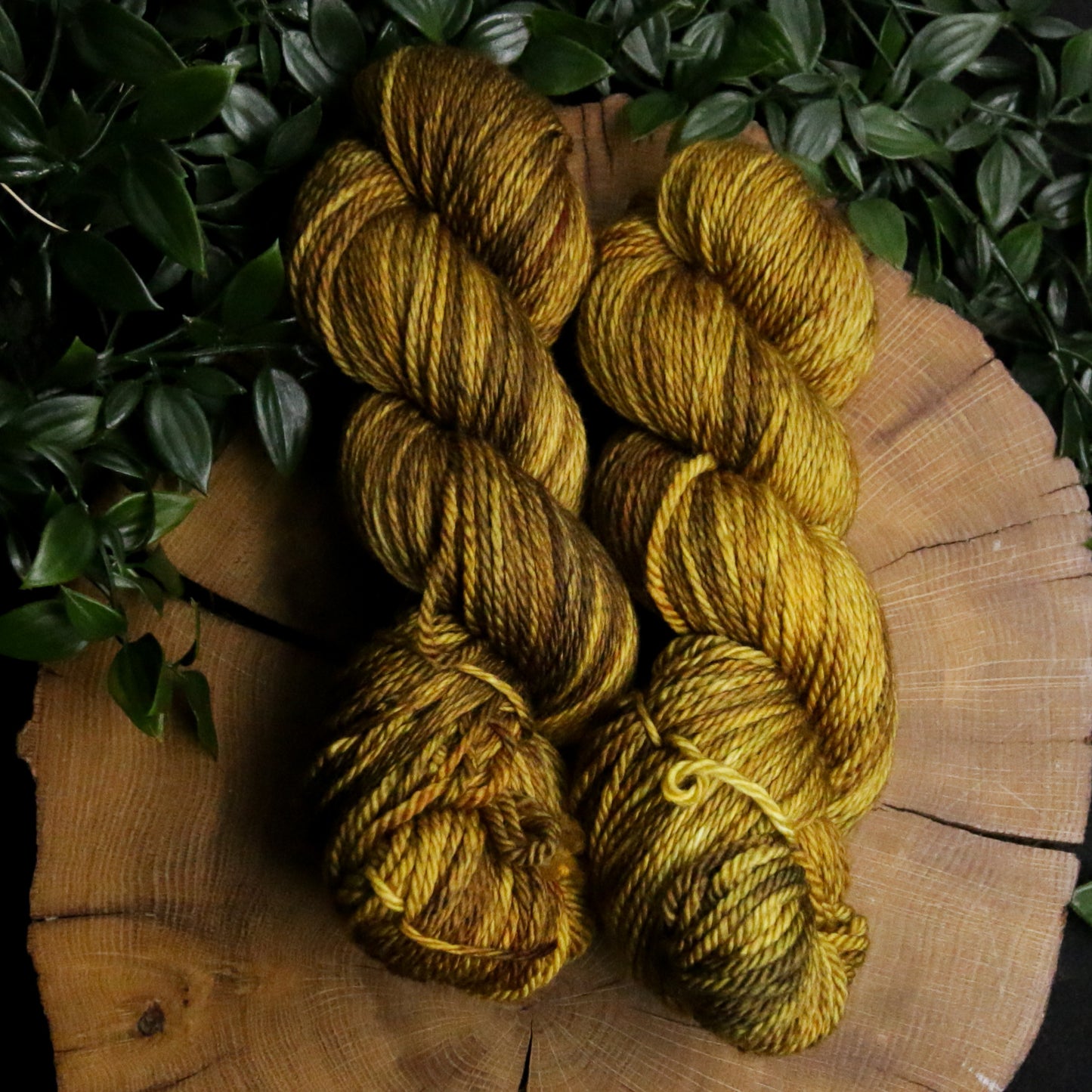 Decaying Leaves - Merino Squish  - Worsted Weight
