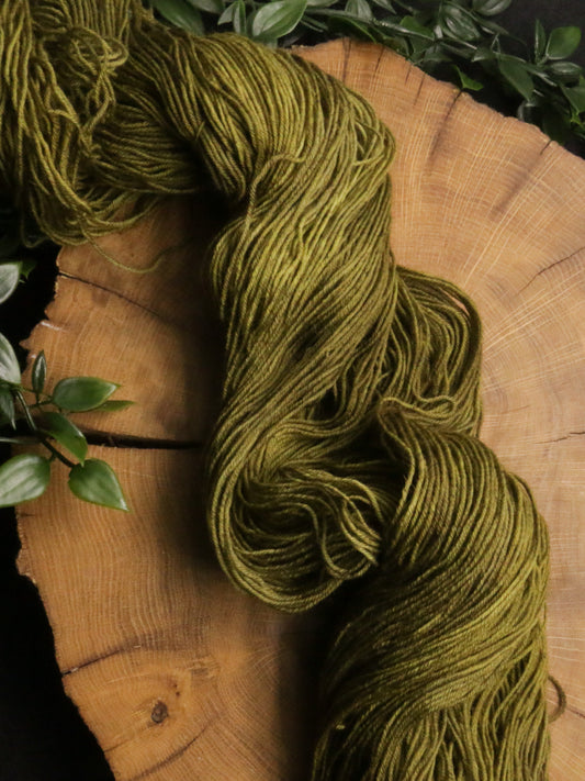 Dye Sink Skein - Bullet BFL - Fingering