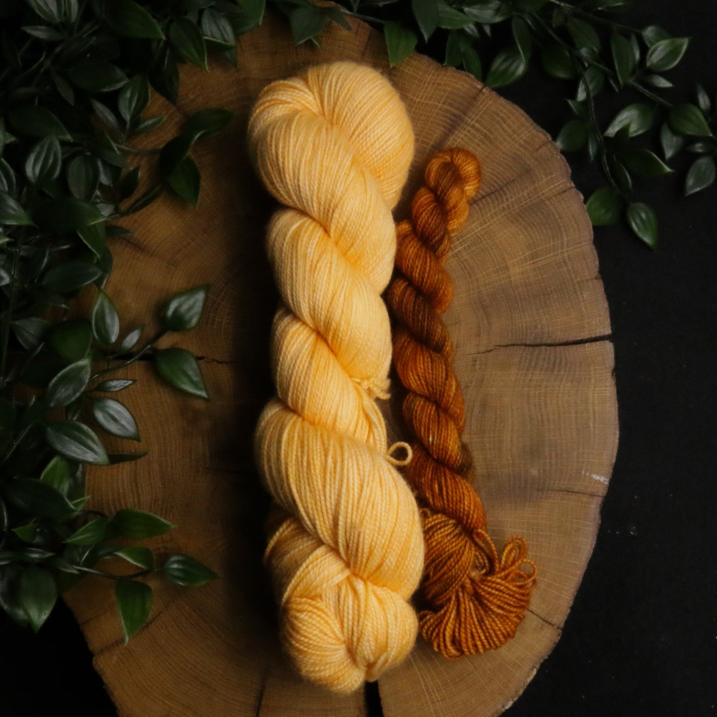 Pumpkin Creme Sock Set - Vibrant 80/20 - 100g + 20g