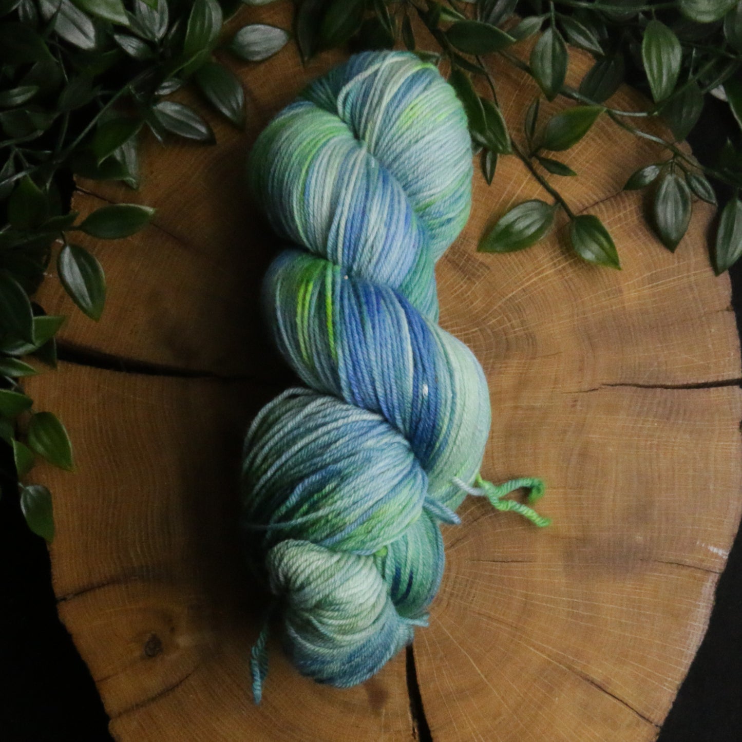 Dye Sink Skein - Merino Squish - Fingering Weight