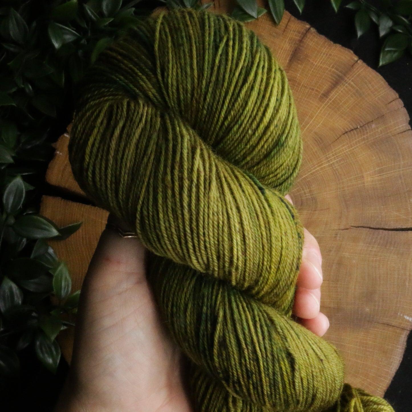 Dye Sink Skein - Bullet BFL - Fingering