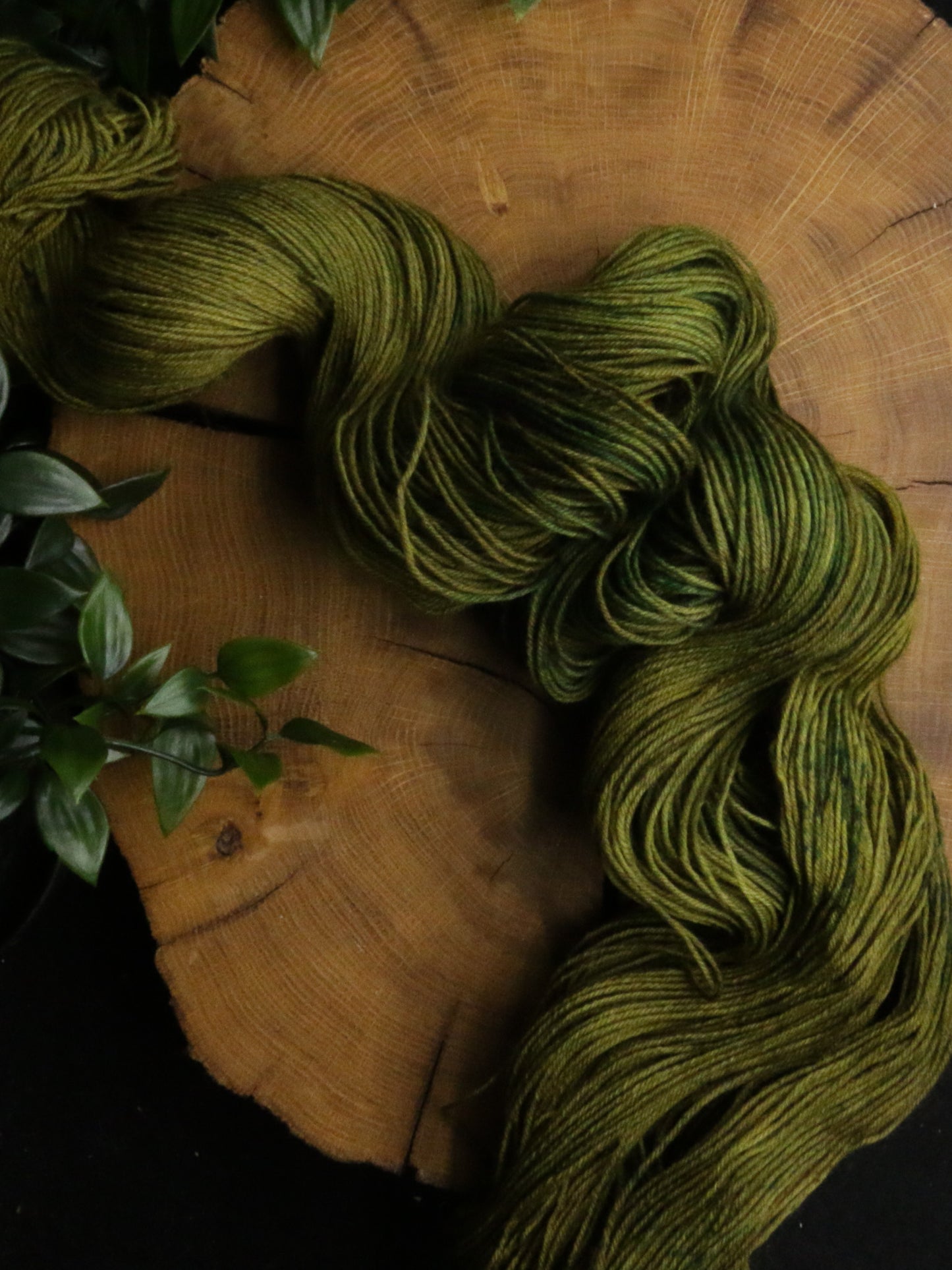 Dye Sink Skein - Bullet BFL - Fingering