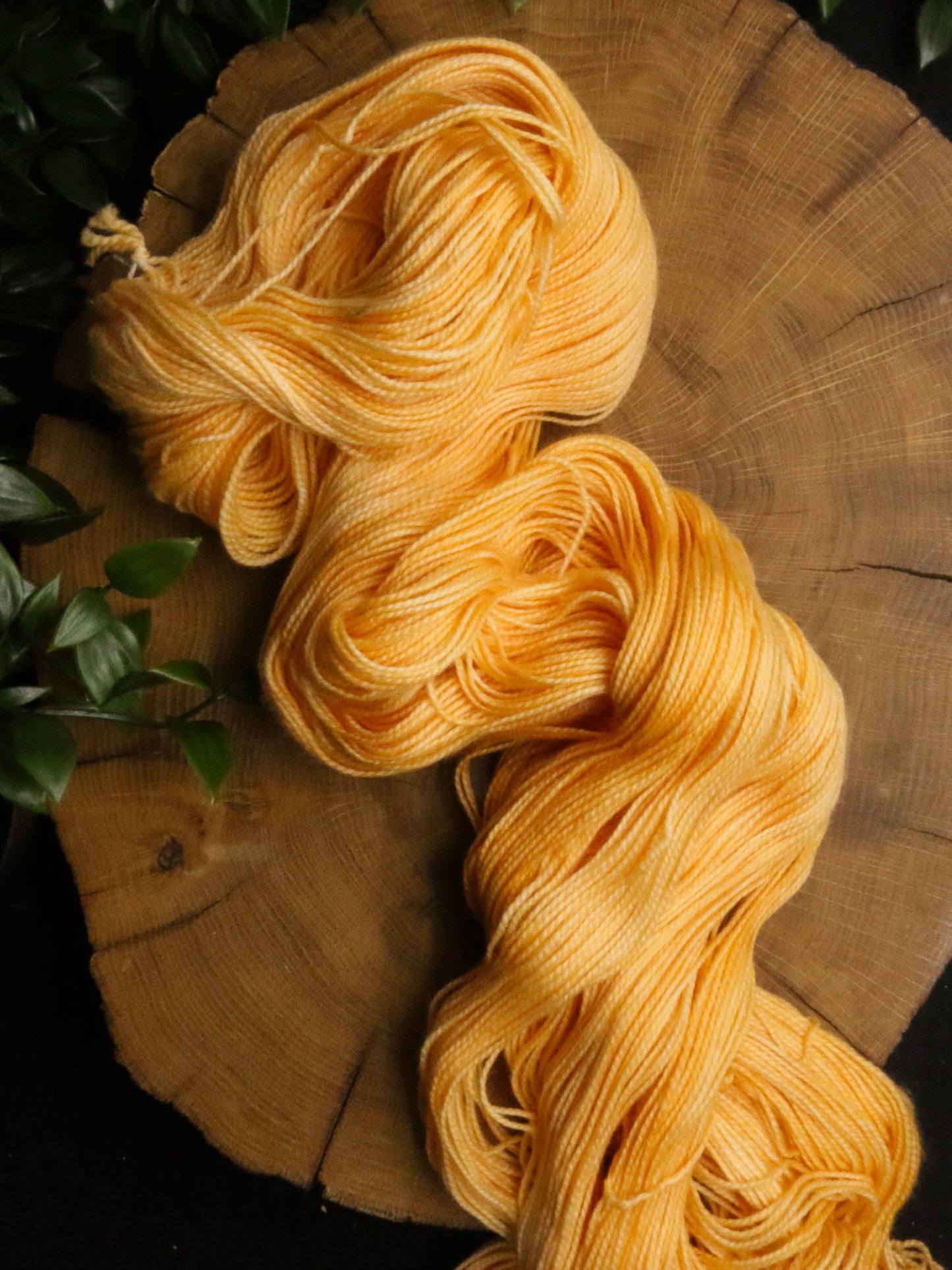 Pumpkin Creme - Vibrant 80/20 - Fingering