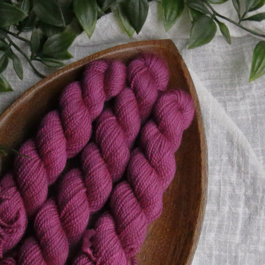 Radish, Berries, and Tomatoes - Fruits and Veggies - Soft Sock Fingering OR Plump 85 DK - 20g mini