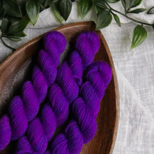 Plums and Grapes - Fruits and Veggies - Soft Sock Fingering OR Plump 85 DK - 20g mini