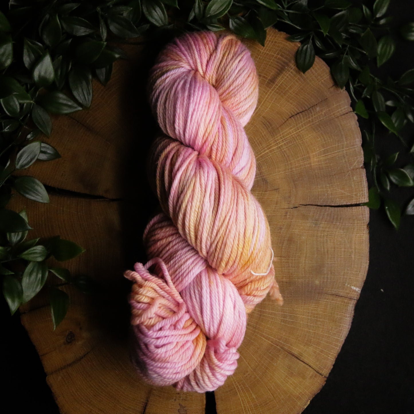 Dye Sink Skein - Merino Squish - DK Weight