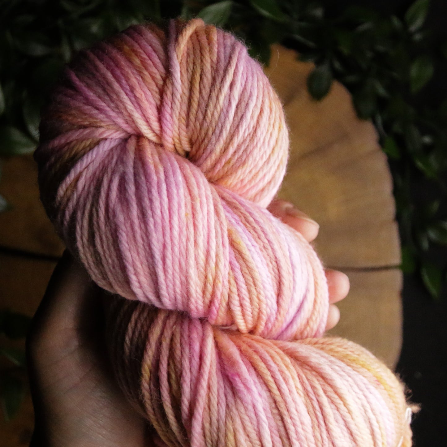 Dye Sink Skein - Merino Squish - DK Weight