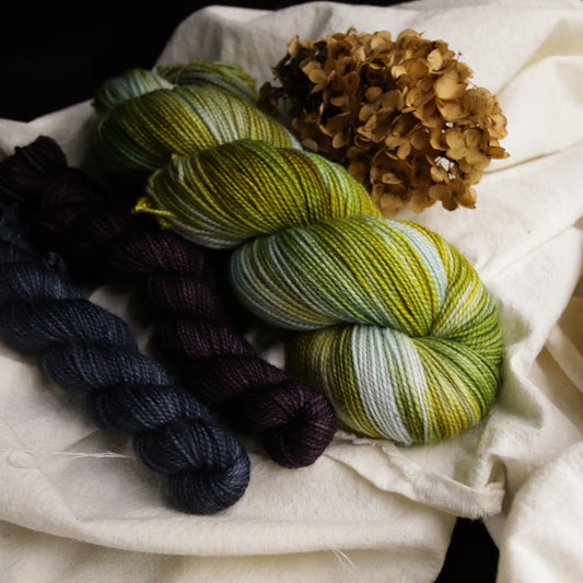 Frog Prince - Sock Set - Soft Sock - Fingering Weight