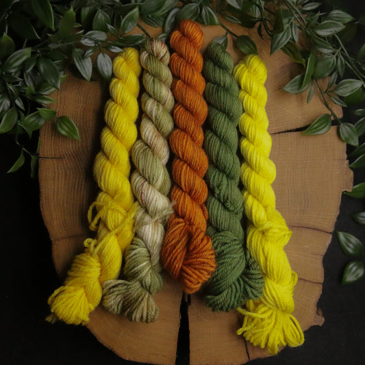 One of a Kind DK Set #36 - 20g Mini - Plump 85 - DK Weight