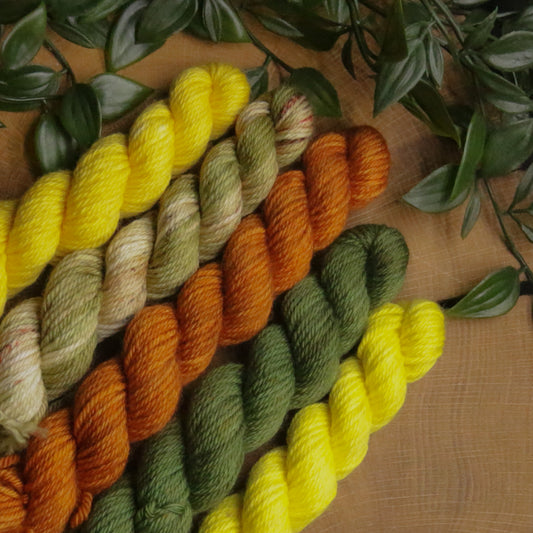 One of a Kind DK Set #36 - 20g Mini - Plump 85 - DK Weight