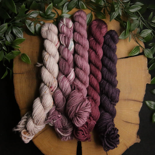 One of a Kind DK Set #37 - 20g Mini - Plump 85 - DK Weight