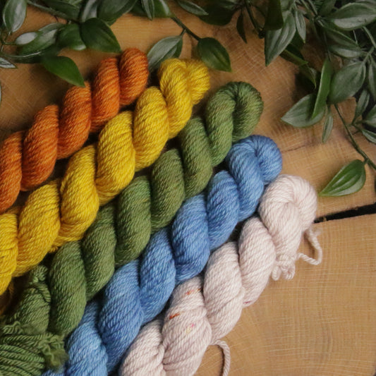 One of a Kind DK Set #44 - 20g Mini - Plump 85 - DK Weight