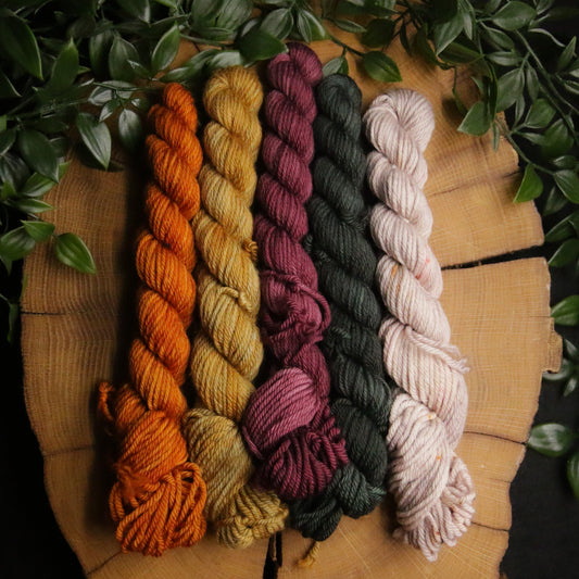 One of a Kind DK Set #22 - 20g Mini - Plump 85 - DK Weight