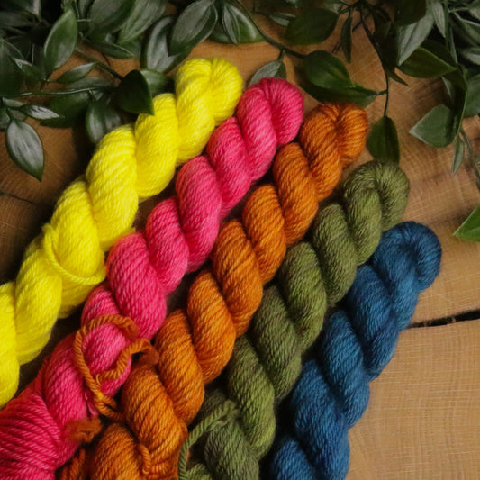 One of a Kind DK Set #21 - 20g Mini - Plump 85 - DK Weight