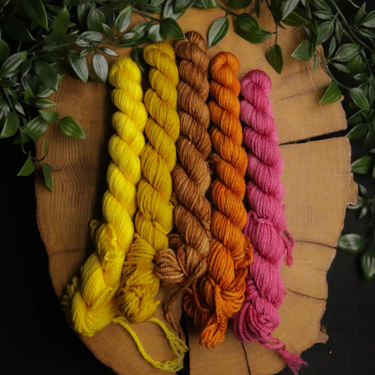 One of a Kind DK Set #15 - 20g Mini - Plump 85 - DK Weight