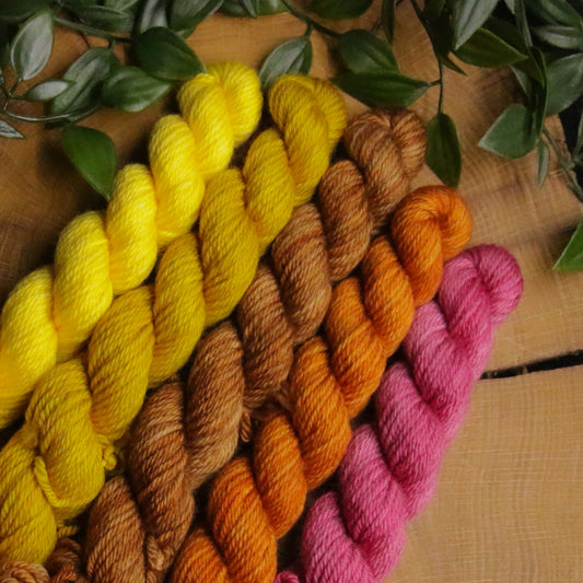 One of a Kind DK Set #15 - 20g Mini - Plump 85 - DK Weight