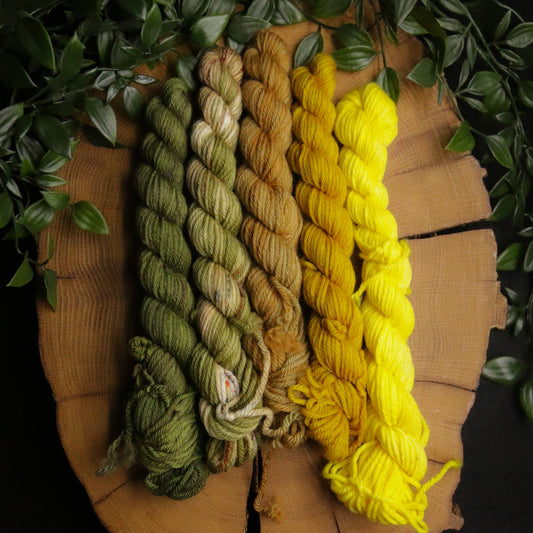 One of a Kind DK Set #8 - 20g Mini - Plump 85 - DK Weight