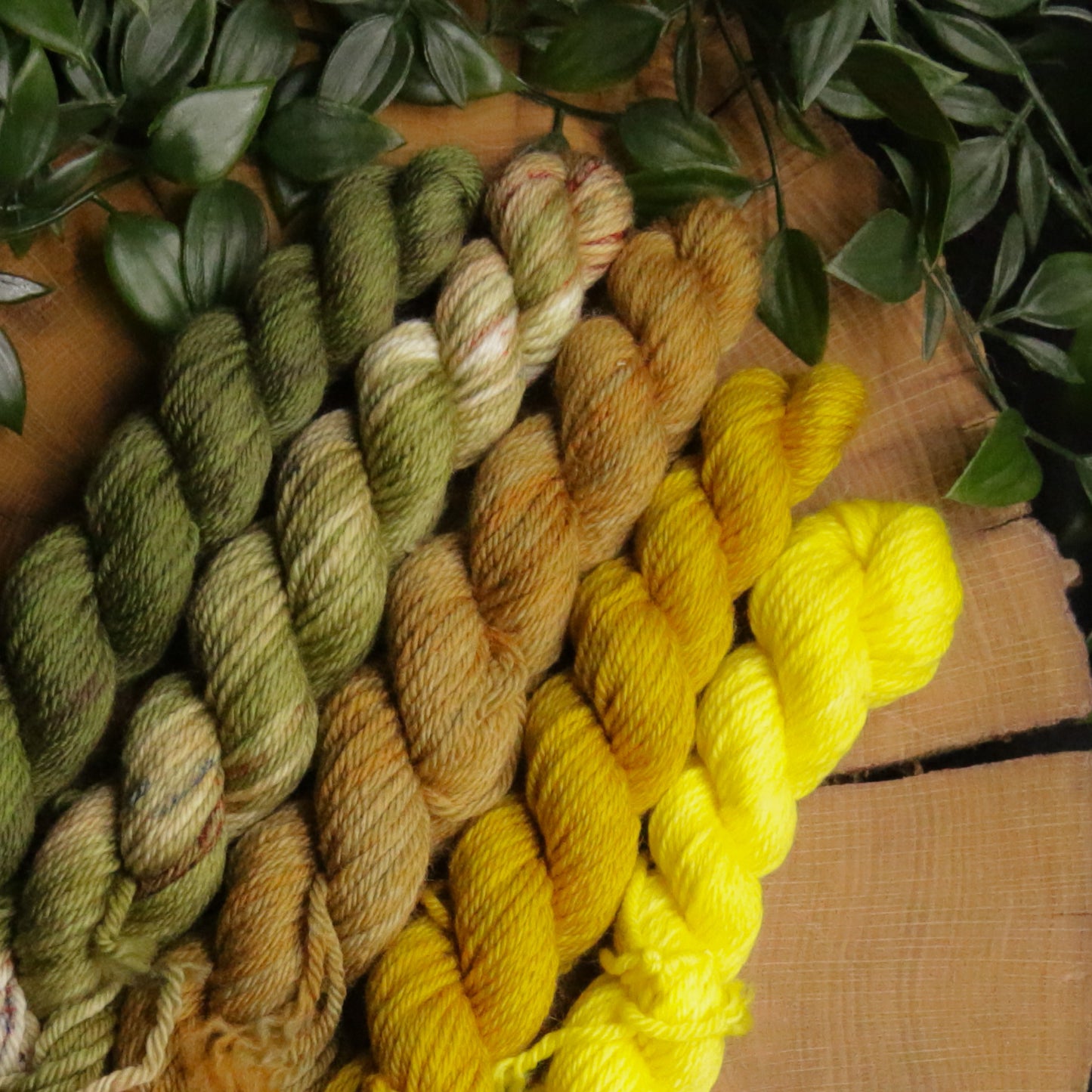 One of a Kind DK Set #8 - 20g Mini - Plump 85 - DK Weight