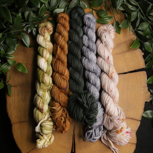 One of a Kind DK Set #17 - 20g Mini - Plump 85 - DK Weight