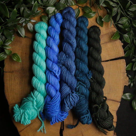 One of a Kind DK Set #29 - 20g Mini - Plump 85 - DK Weight