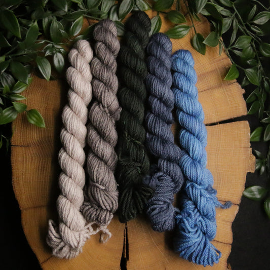 One of a Kind DK Set #27 - 20g Mini - Plump 85 - DK Weight