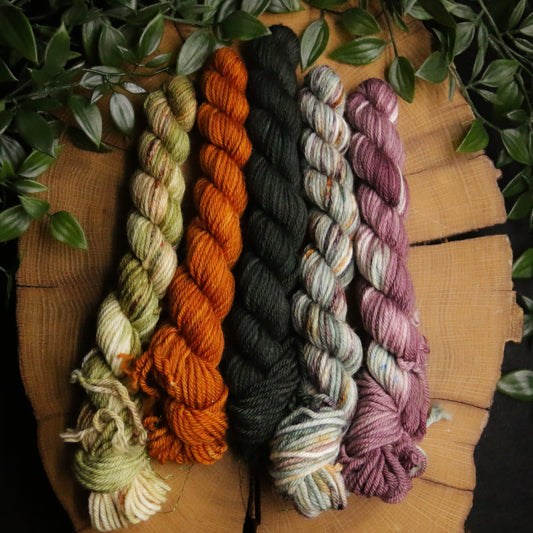 One of a Kind DK Set #25 - 20g Mini - Plump 85 - DK Weight