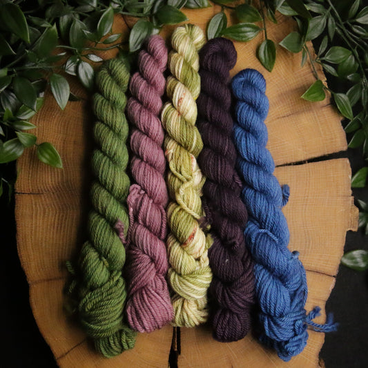 One of a Kind DK Set #12 - 20g Mini - Plump 85 - DK Weight