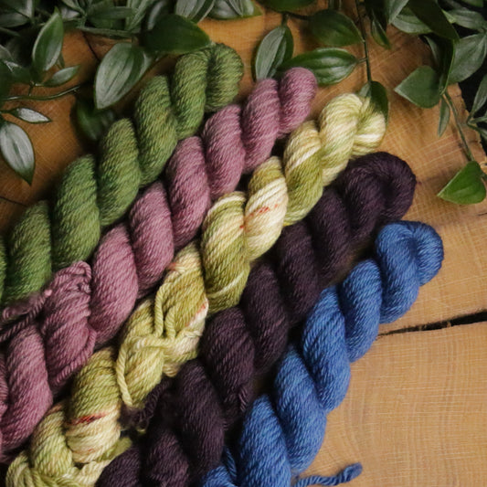 One of a Kind DK Set #12 - 20g Mini - Plump 85 - DK Weight