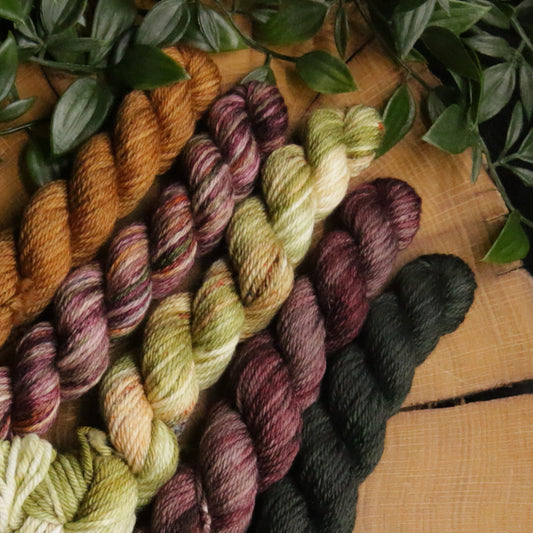 One of a Kind DK Set #9 - 20g Mini - Plump 85 - DK Weight