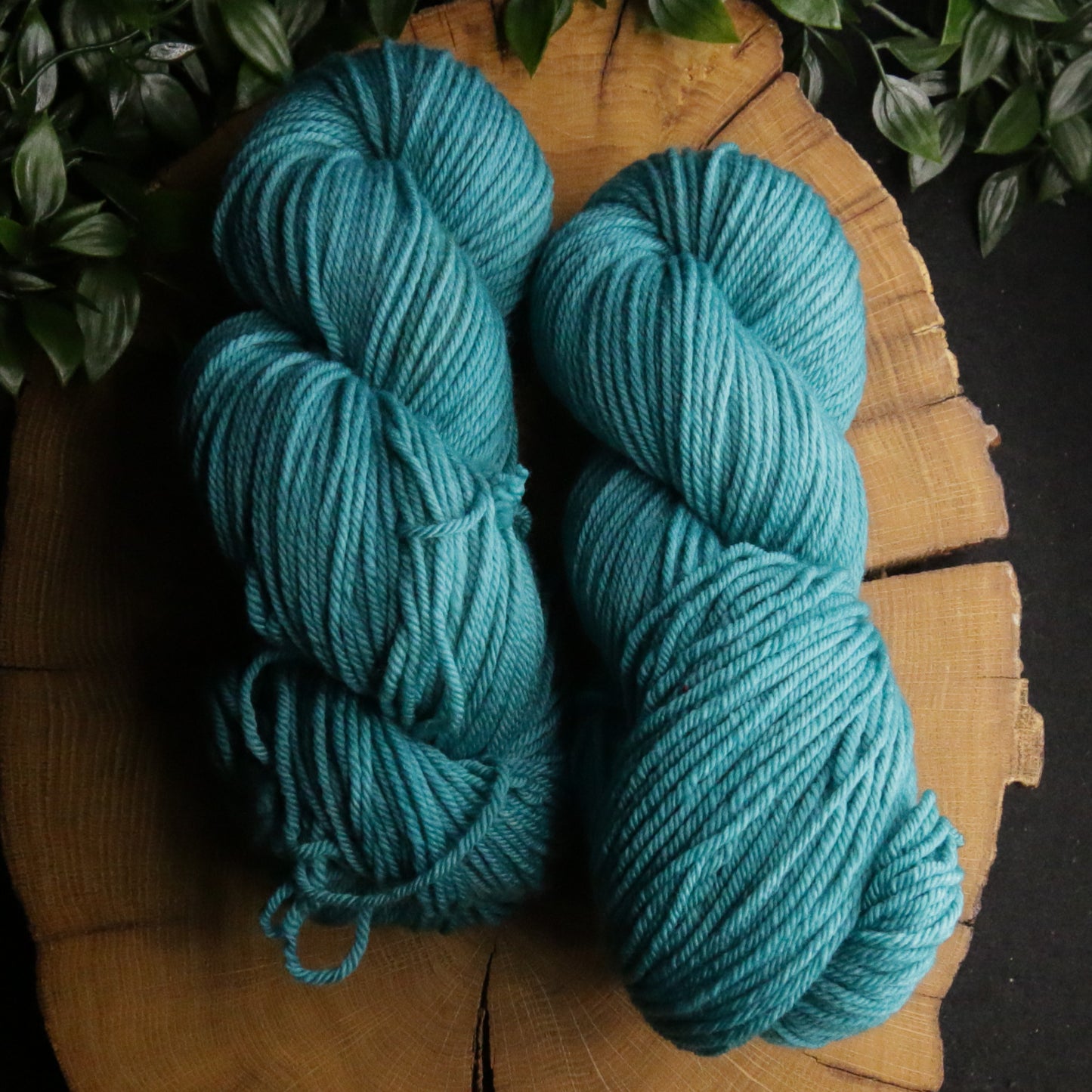 Dye Sink Skein - Plump 85 - DK Weight