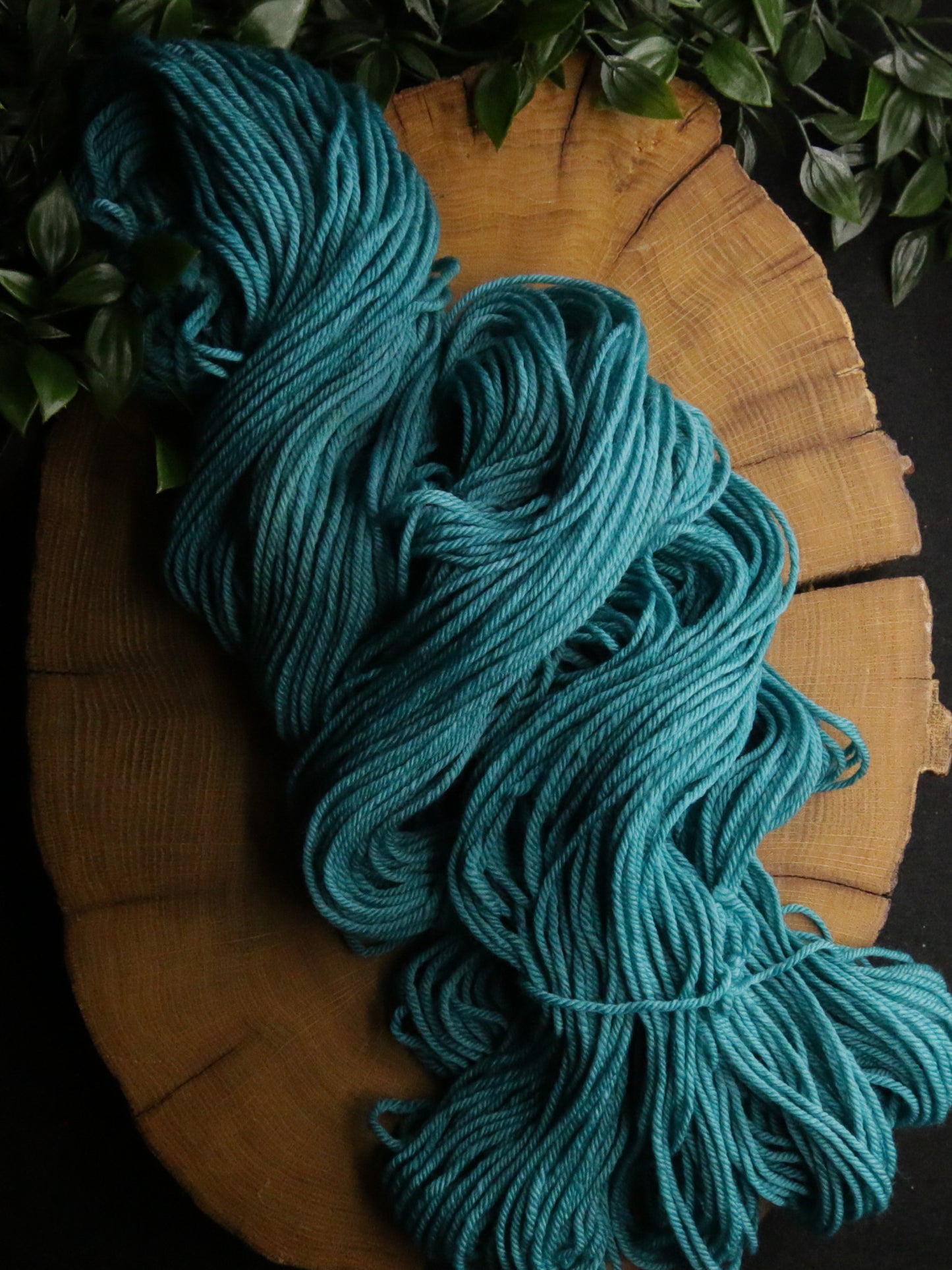 Dye Sink Skein - Plump 85 - DK Weight