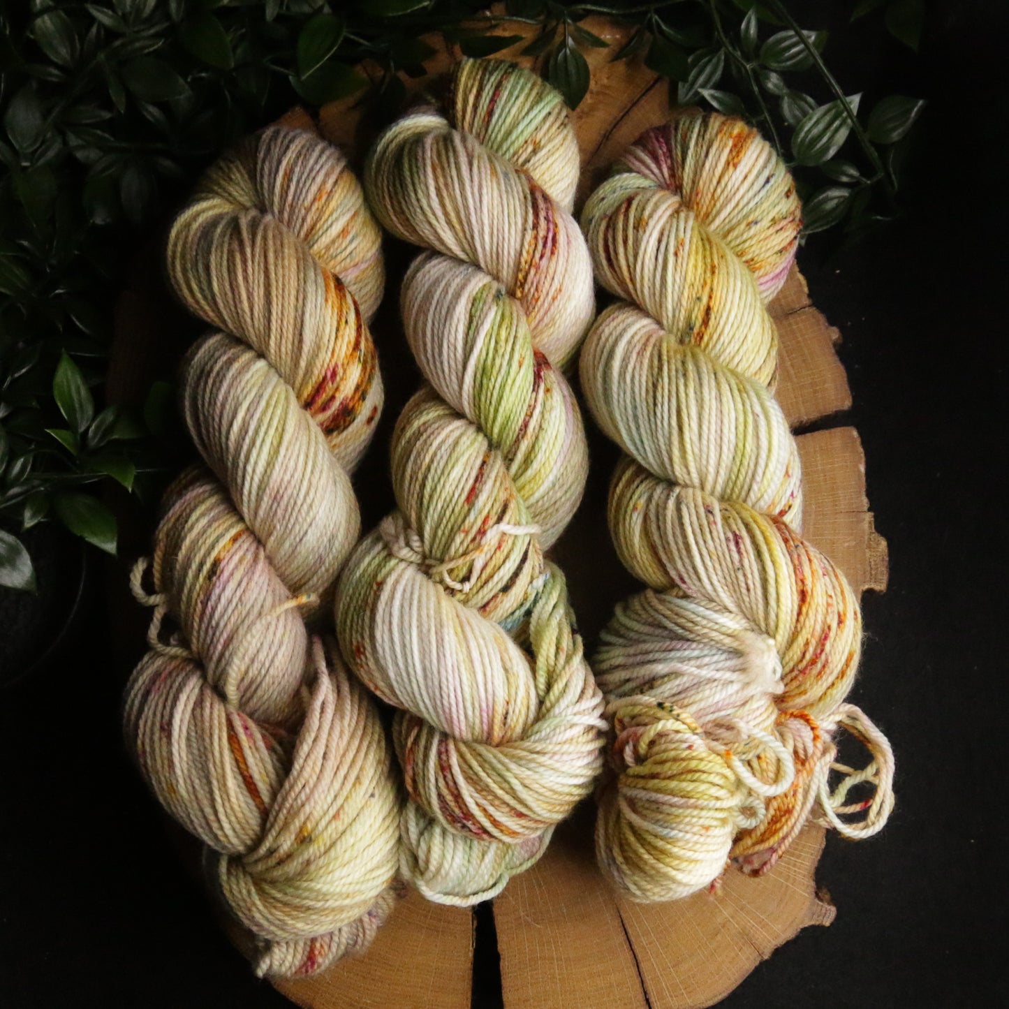 Rocky Mountain Meadow - Vibrant 80/20 - DK