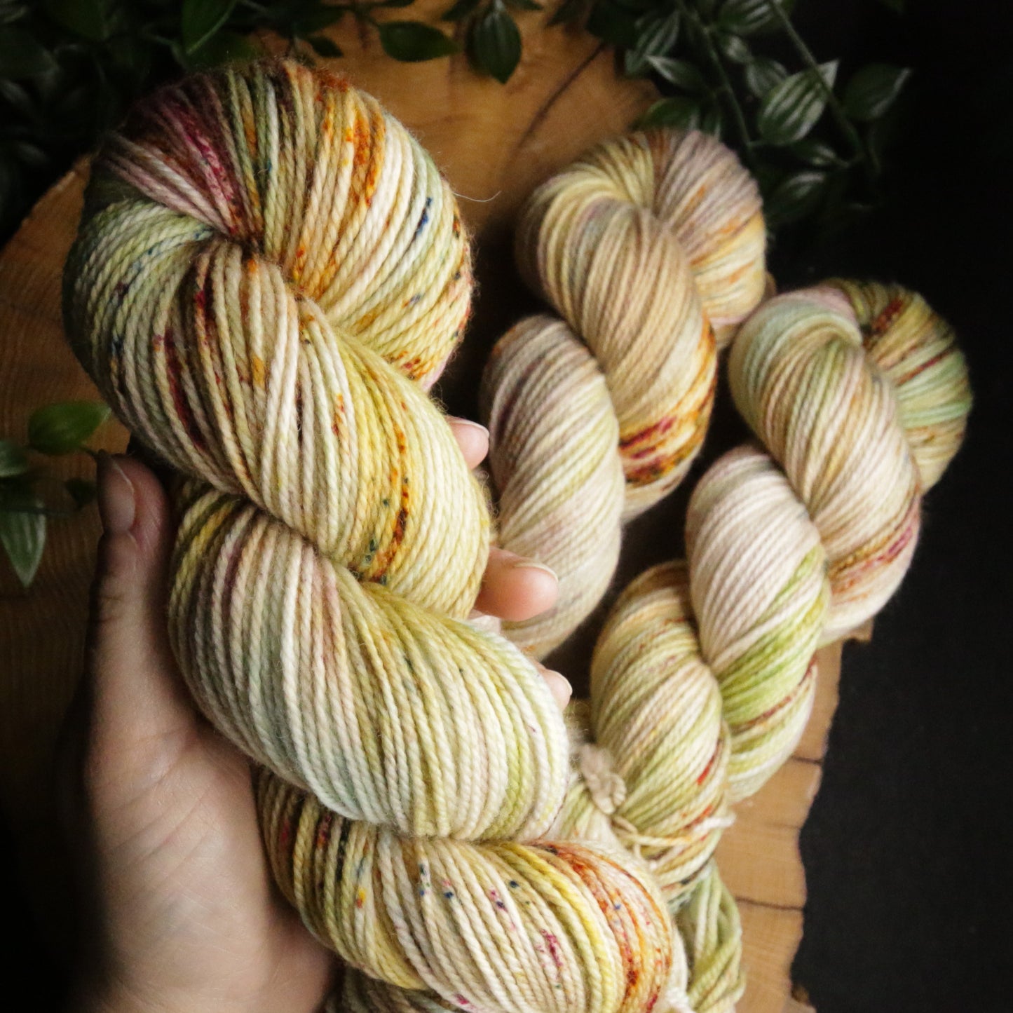 Rocky Mountain Meadow - Vibrant 80/20 - DK