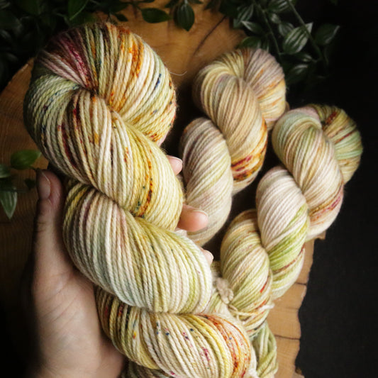 Rocky Mountain Meadow - Vibrant 80/20 - DK