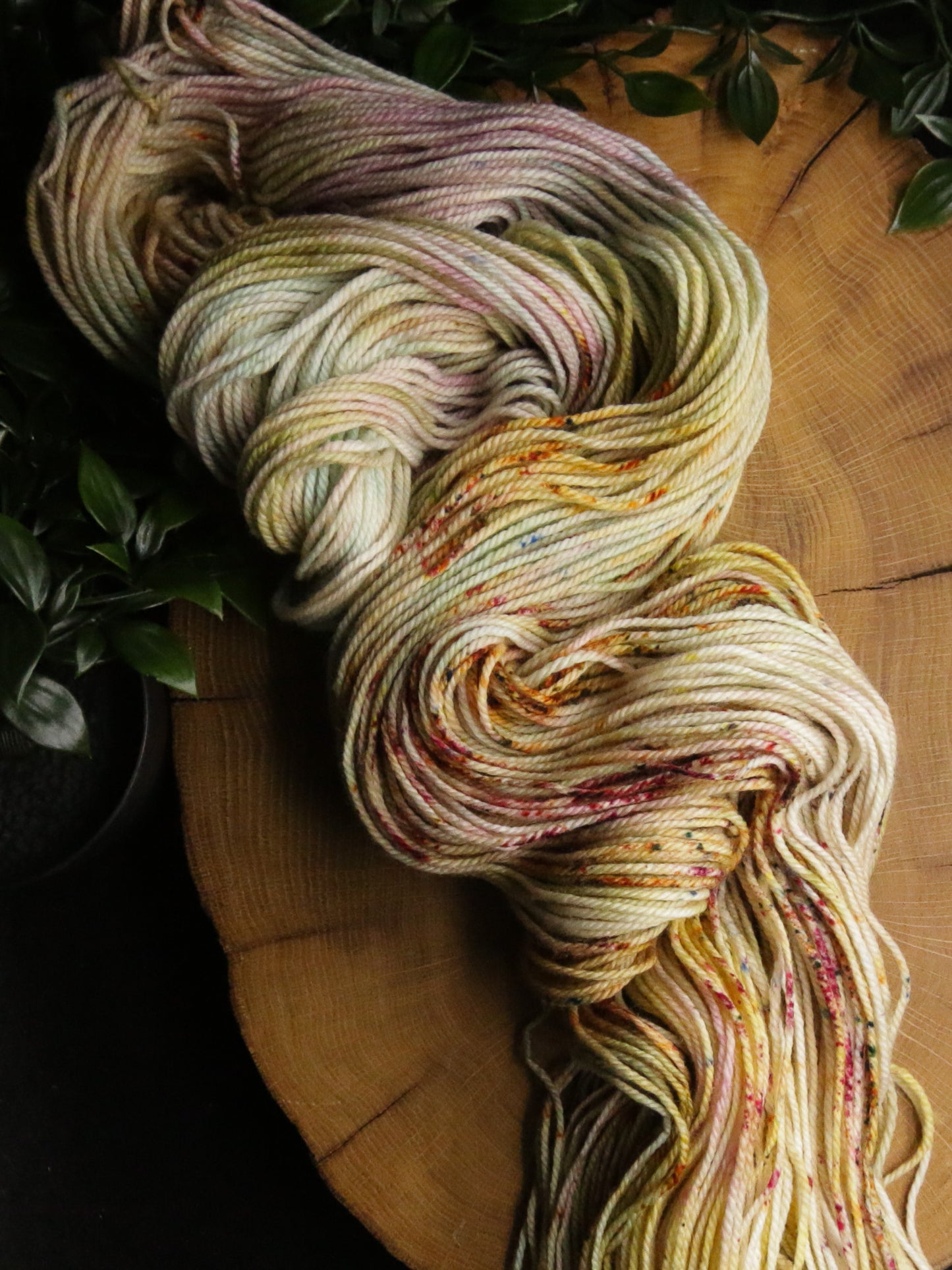 Rocky Mountain Meadow - Vibrant 80/20 - DK