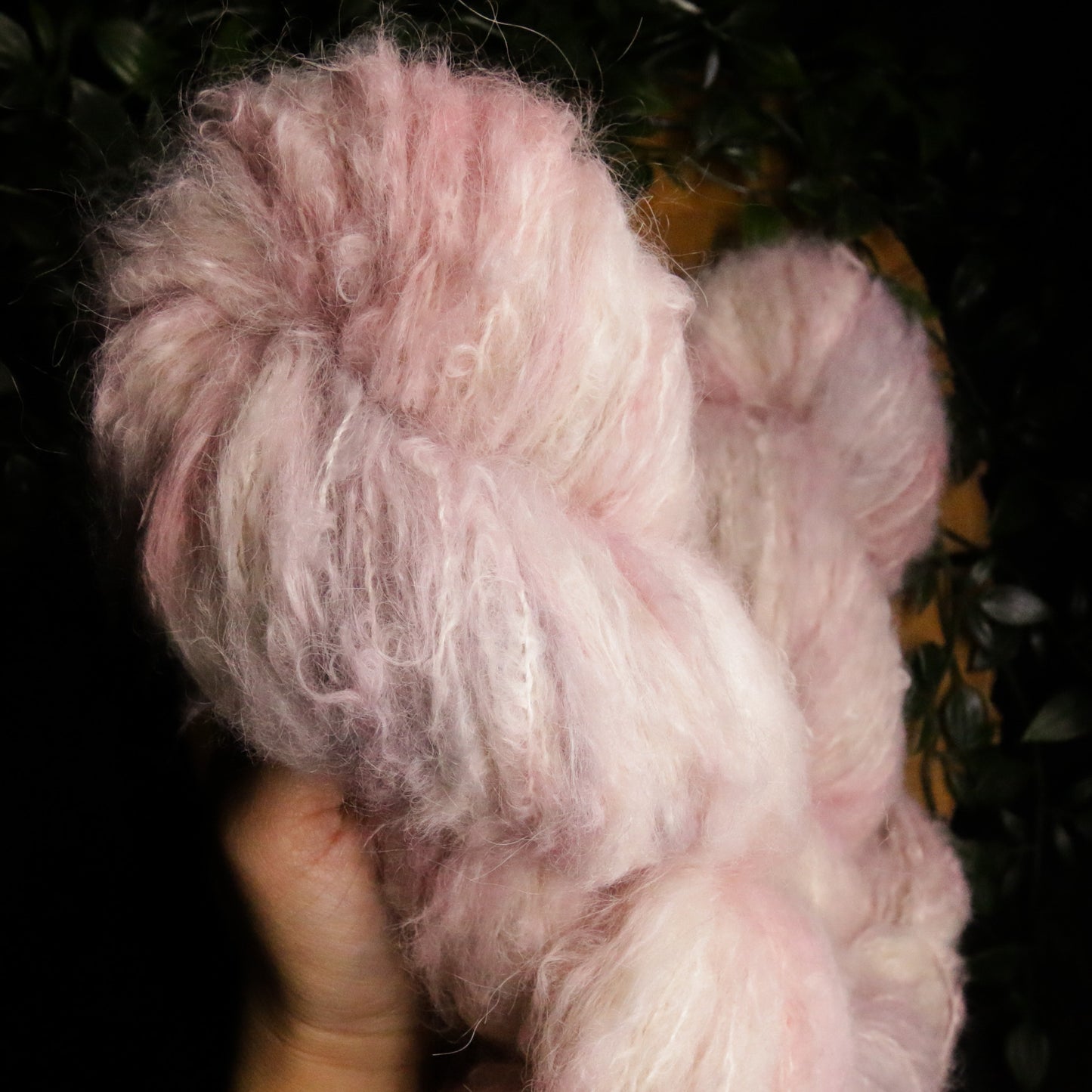 Conch Shell - DK Suri - DK Weight (100g)