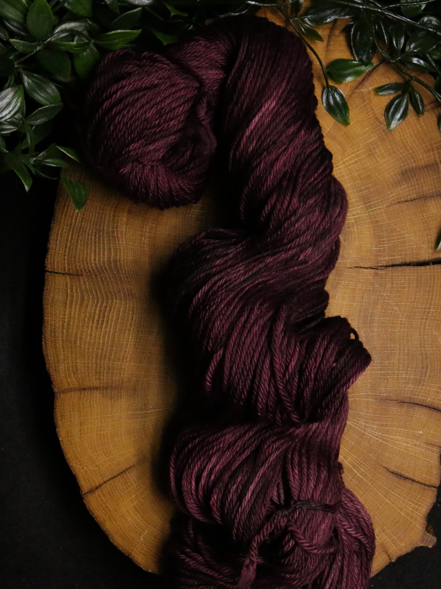 Don't Eat the Berries - Merino Squish  - Worsted Weight
