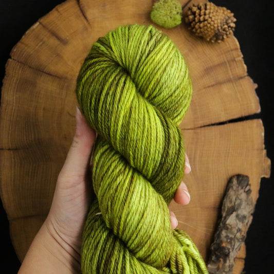 Fiddlehead - Classic Merino Worsted - Off the Beaten Path Collection